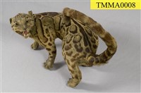 Formosan Clouded Leopard Collection Image, Figure 11, Total 29 Figures